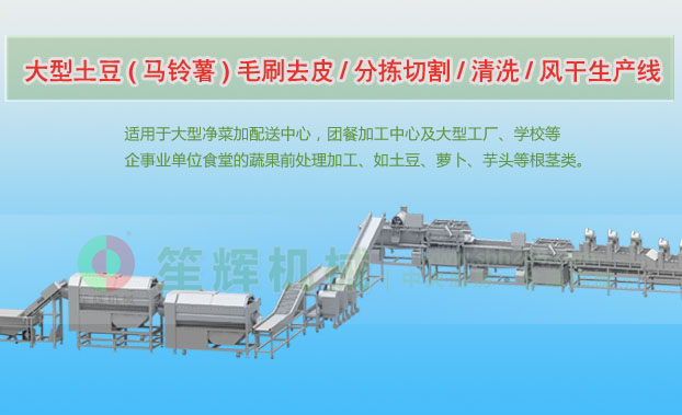 抚远连续式土豆去皮清洗切割风干生产线